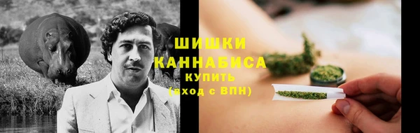 дурь Алексеевка