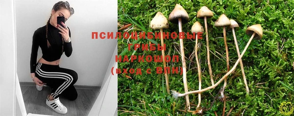 скорость Алексин
