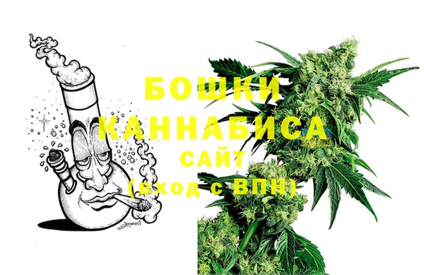 дурь Алзамай