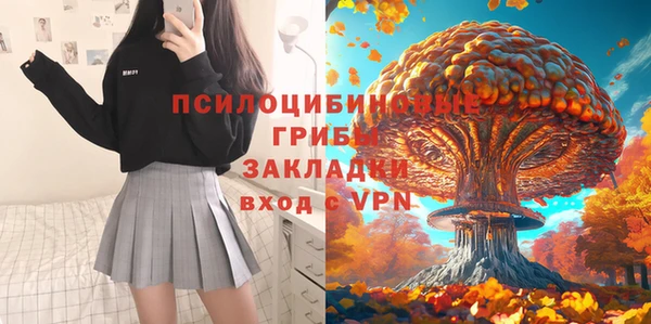 дурь Алзамай