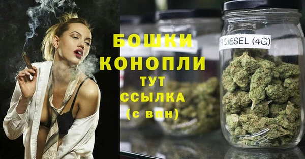 дурь Алзамай