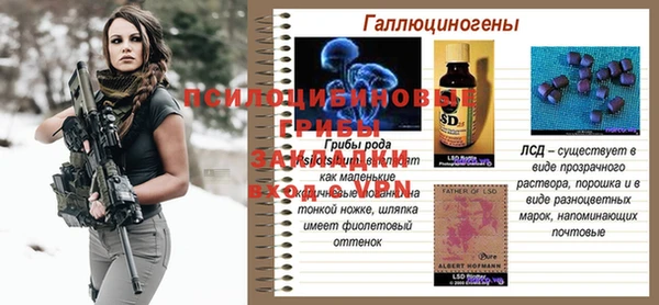 дурь Алексеевка