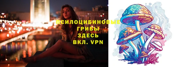 дурь Алзамай
