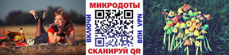 купить наркотики цена  Щигры  Галлюциногенные грибы Psilocybine cubensis 